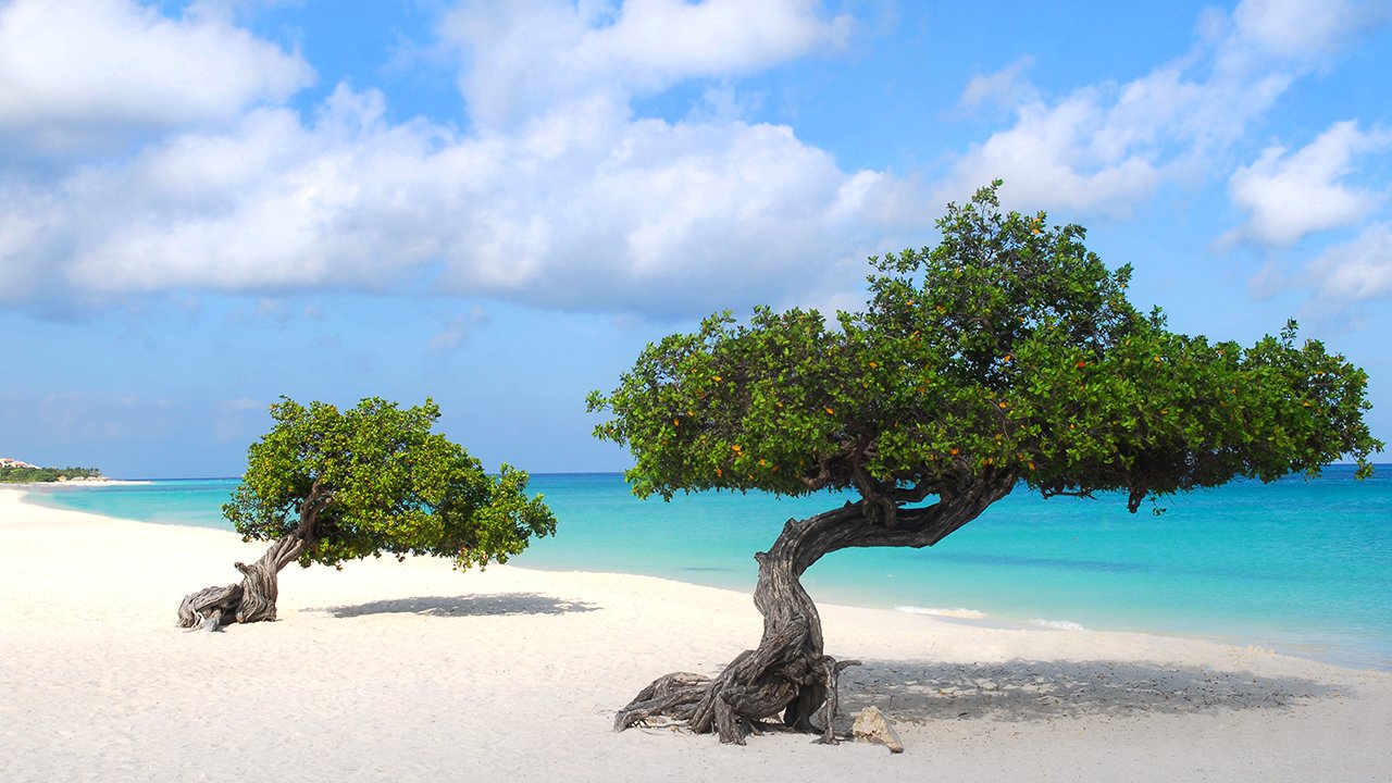 Eagle Beach, Oranjestad-West, Aruba has sand in Artful Bracelets's Sand Bank.