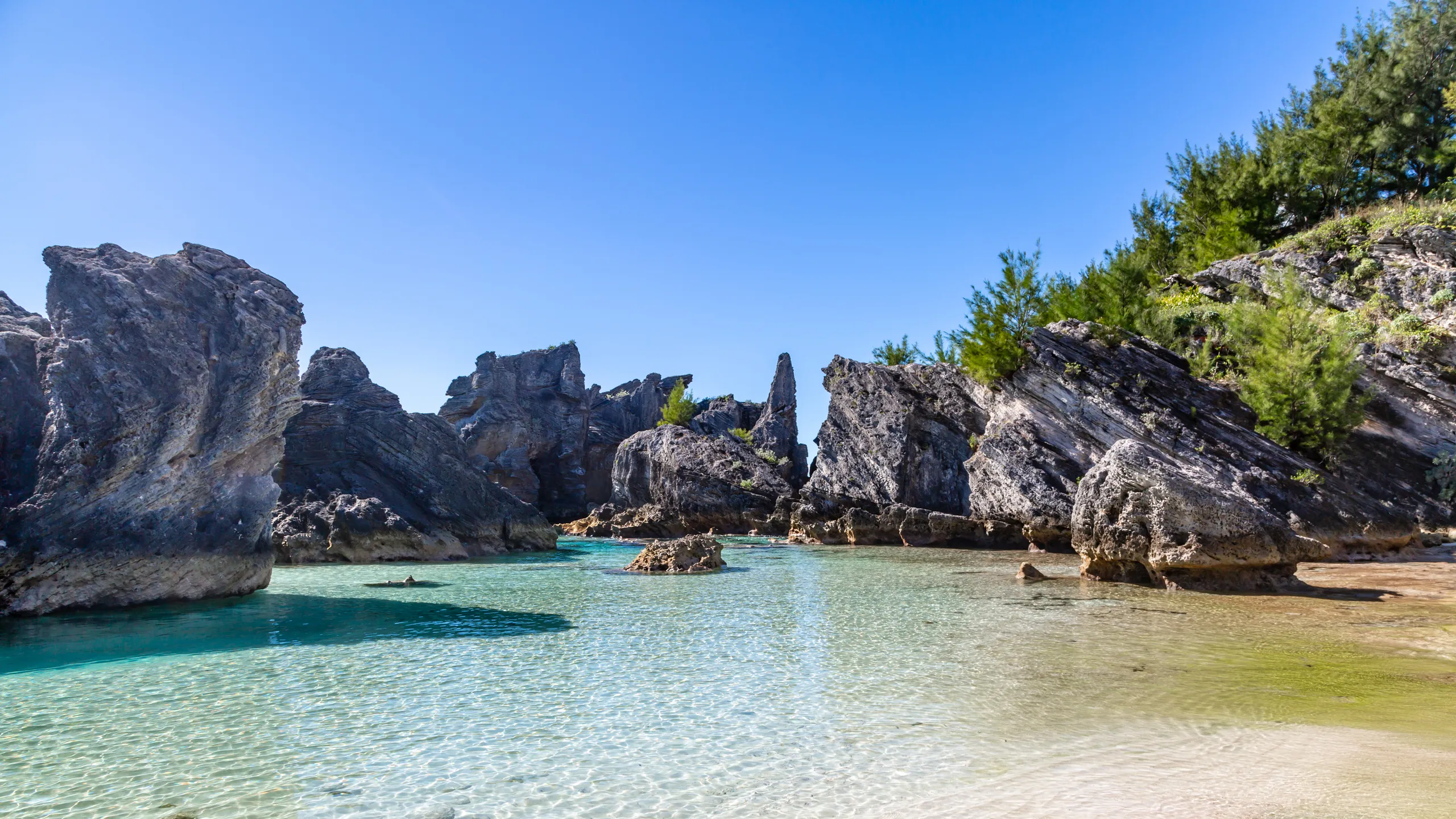 Horseshoe Bay Beach in Bermuda, best beaches in the world available in Artful Bracelets's Sandbank.