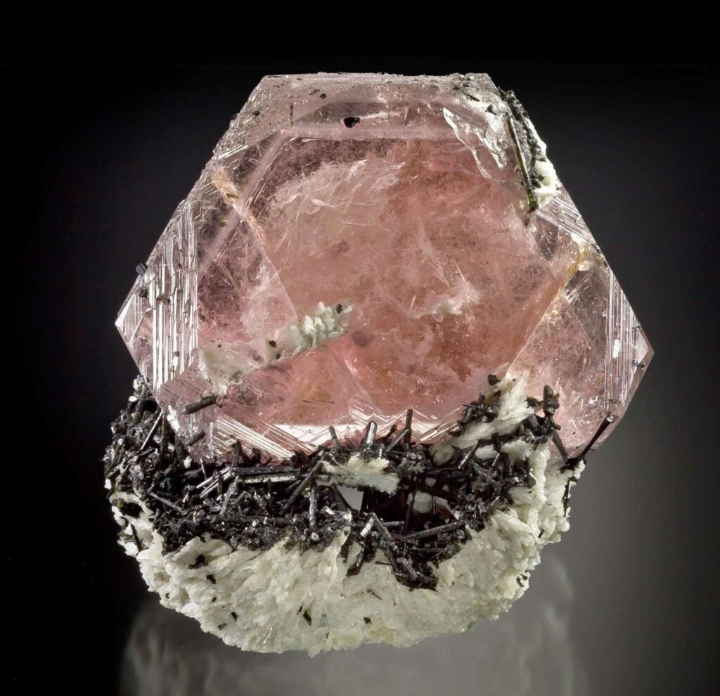 Price of Morganite